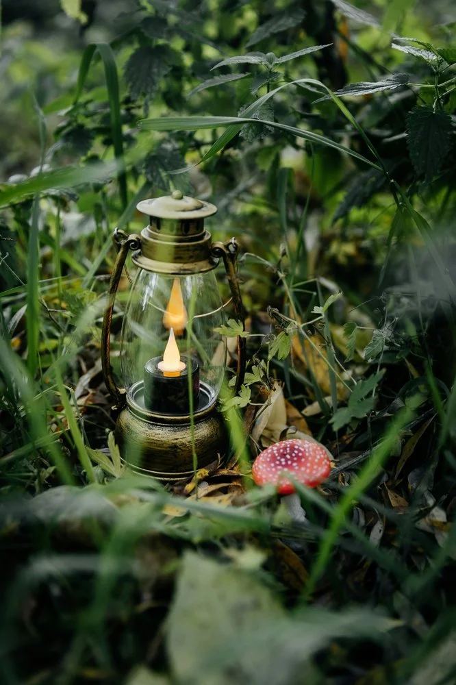Glowing lantern nestled in green grass beside a mushroom, illuminating a path through nature