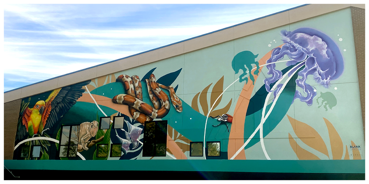 THE DISCOVERY CENTER, 79106