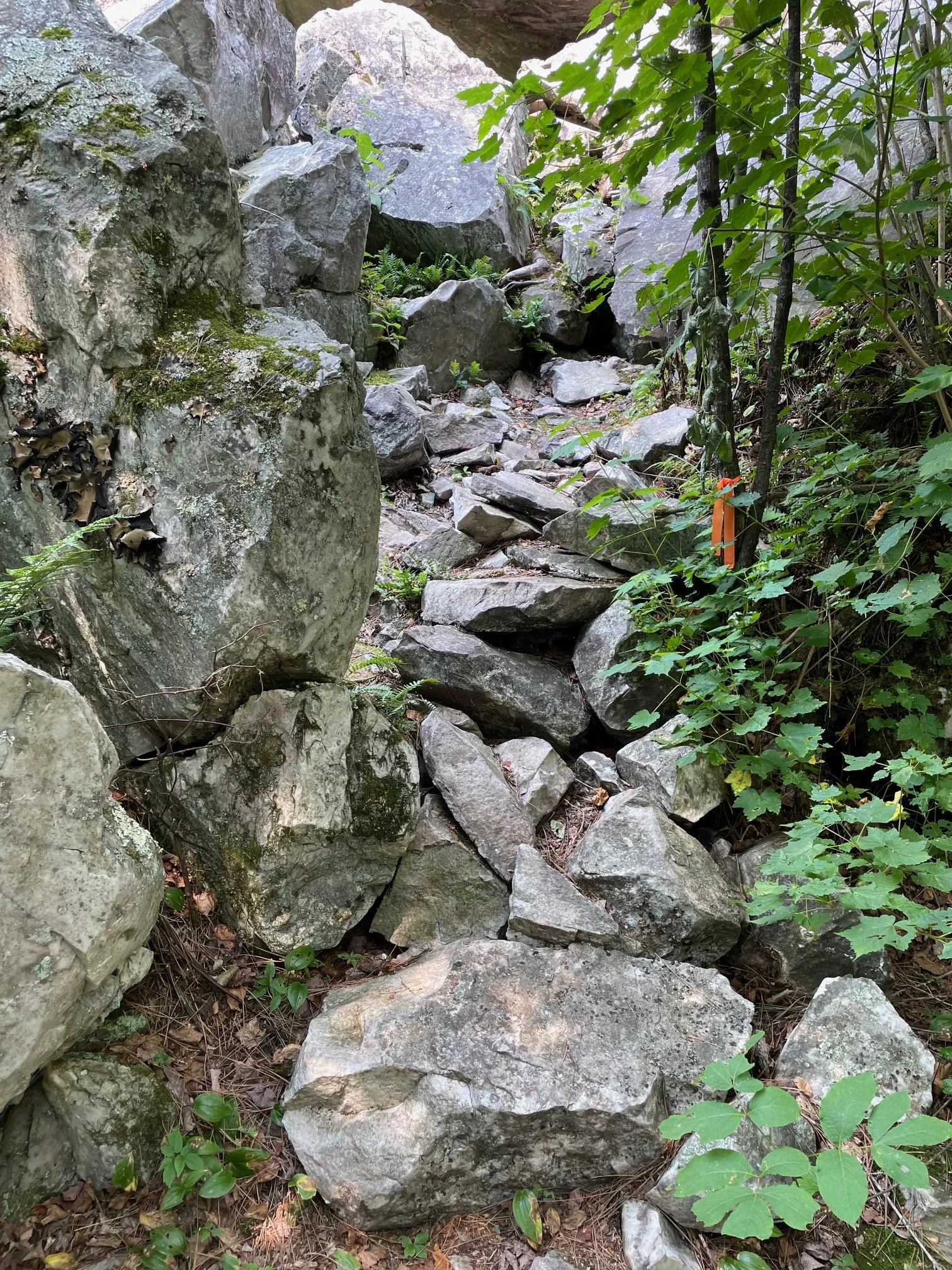 Carney Crag Workday