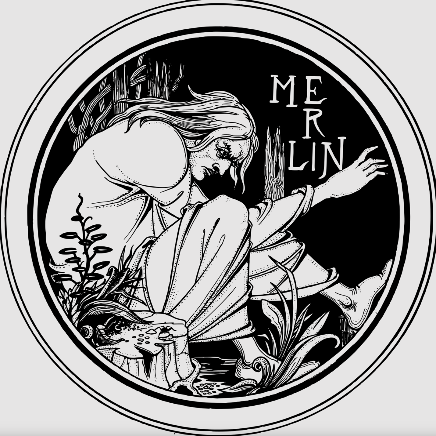 A long-haired Merlin, hunched within a circle against a background of black, surrounded by plants. His name hovers to the right of his bowed head
