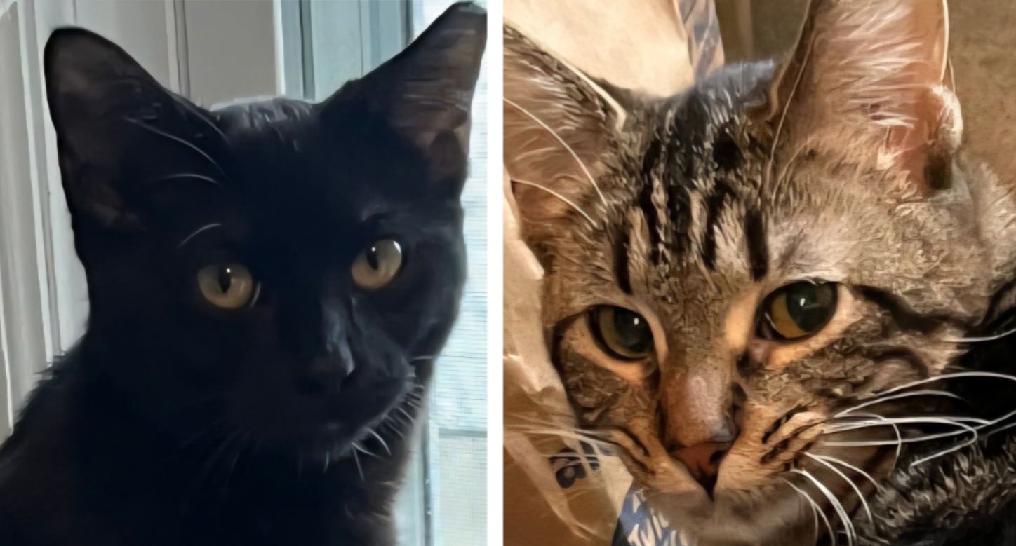 S'more & Kahlua (In Foster)