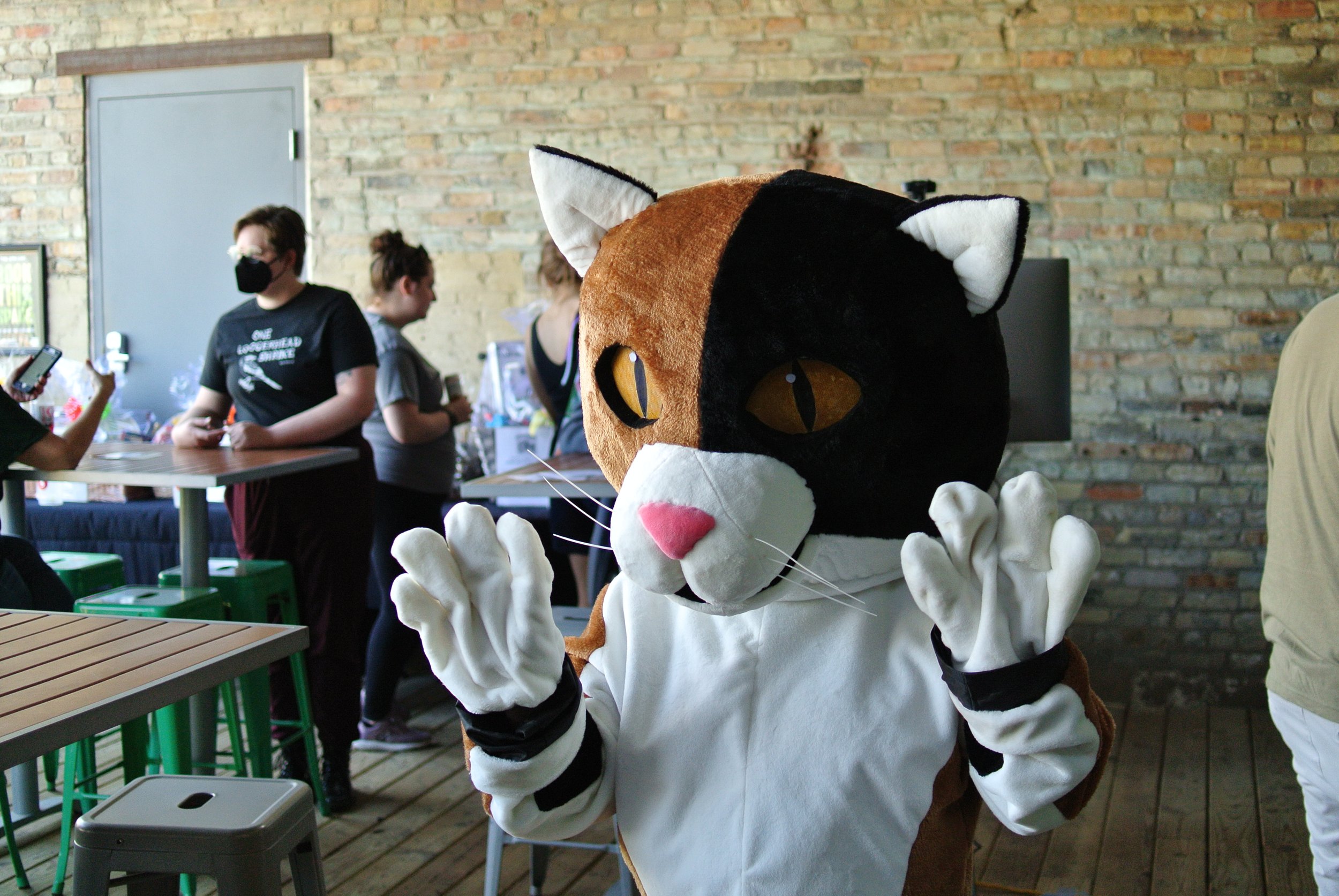 Almost Home Cat Rescue MKE's mascot, Allie the Alley Cat