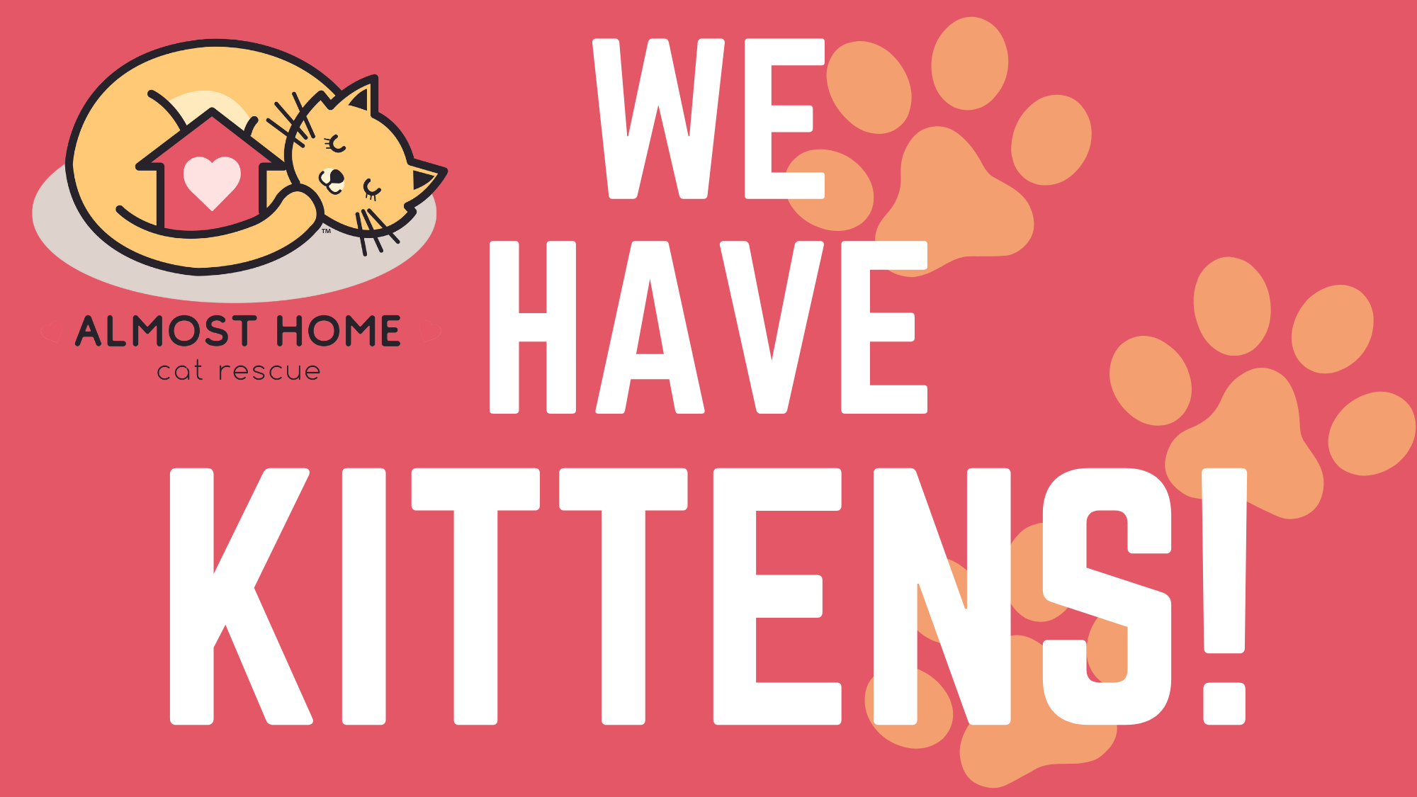Kittens!