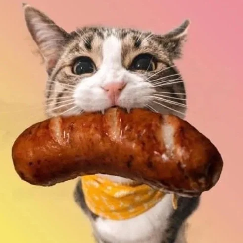 Cute cat with a yellow bandana holding a cooked brat in its mouth