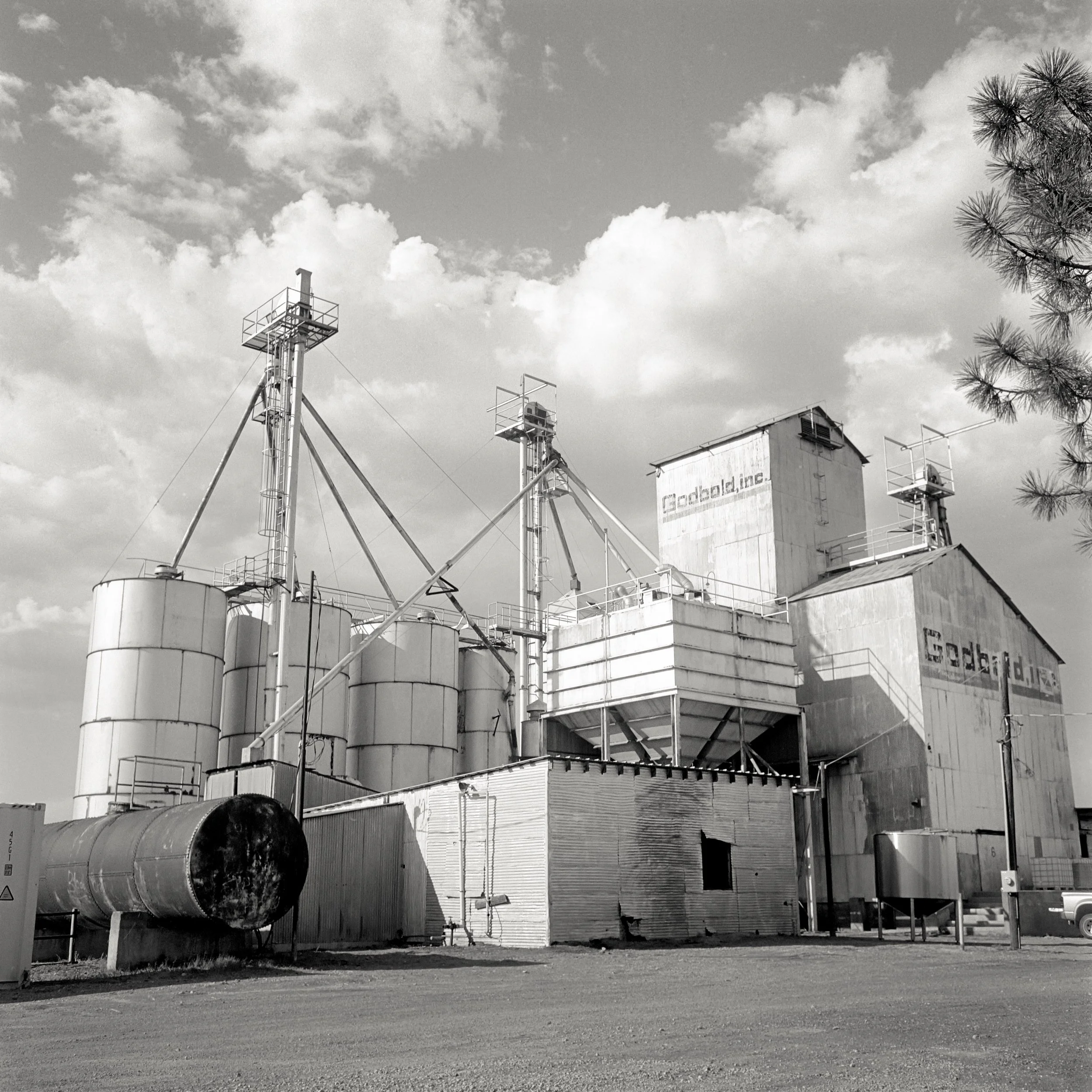 Town 4 (West Texas 2023)