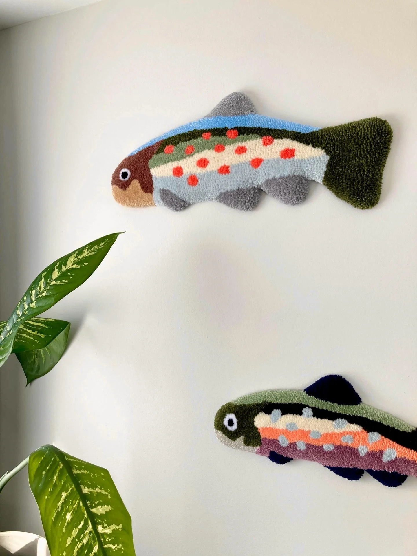 The fish are back in new vibrant colors!
Fresh hues just dropped online. 
Go check it out! 👀 🐟

-

Les truites sont de retour en nouvelles couleurs vibrantes!
Nouvelles teintes fra&icirc;chement mises en ligne. 
Va y jeter un &oelig;il! 👀 🐟

#coa