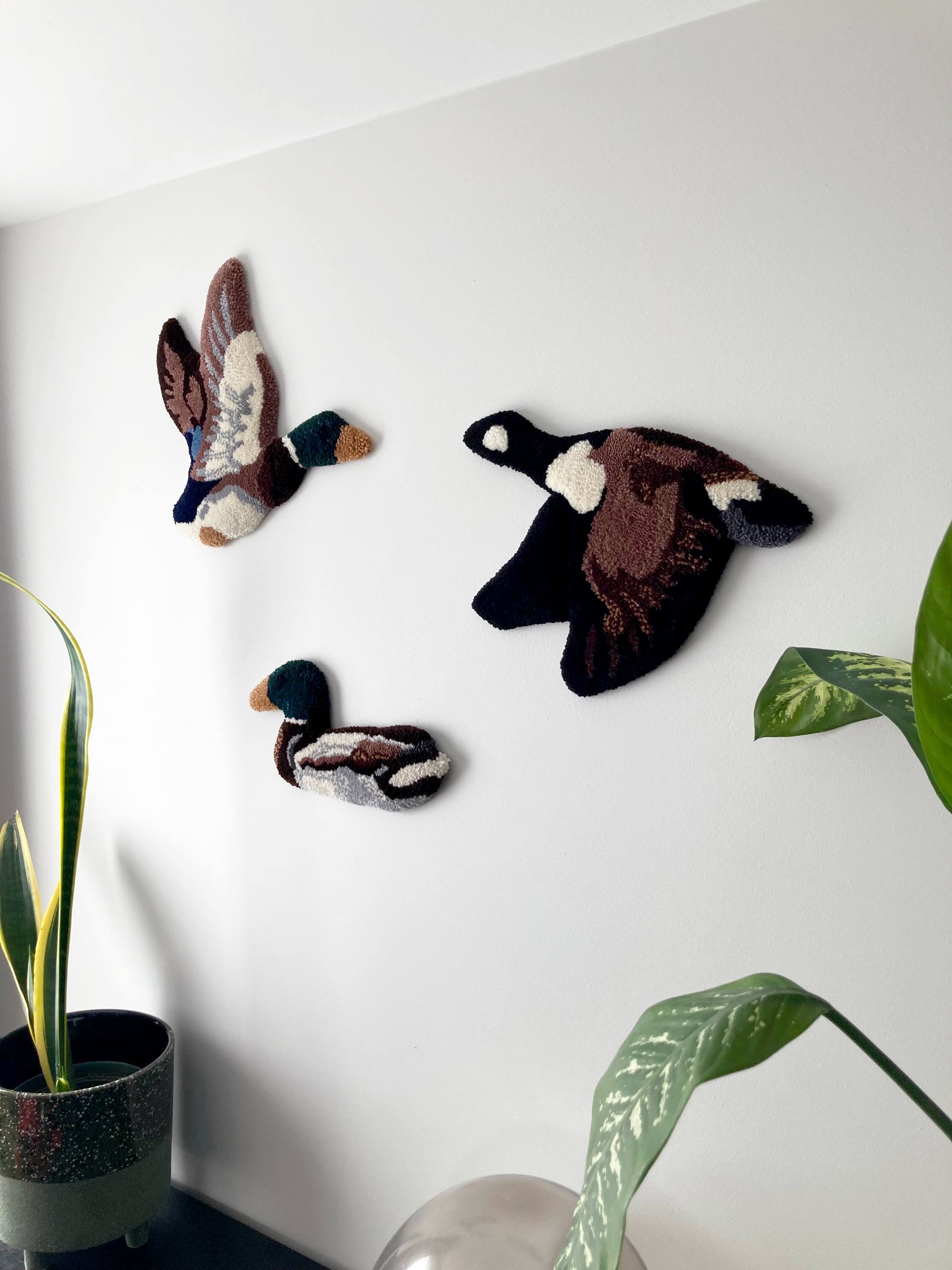 IMG_1695web.jpg (copie)