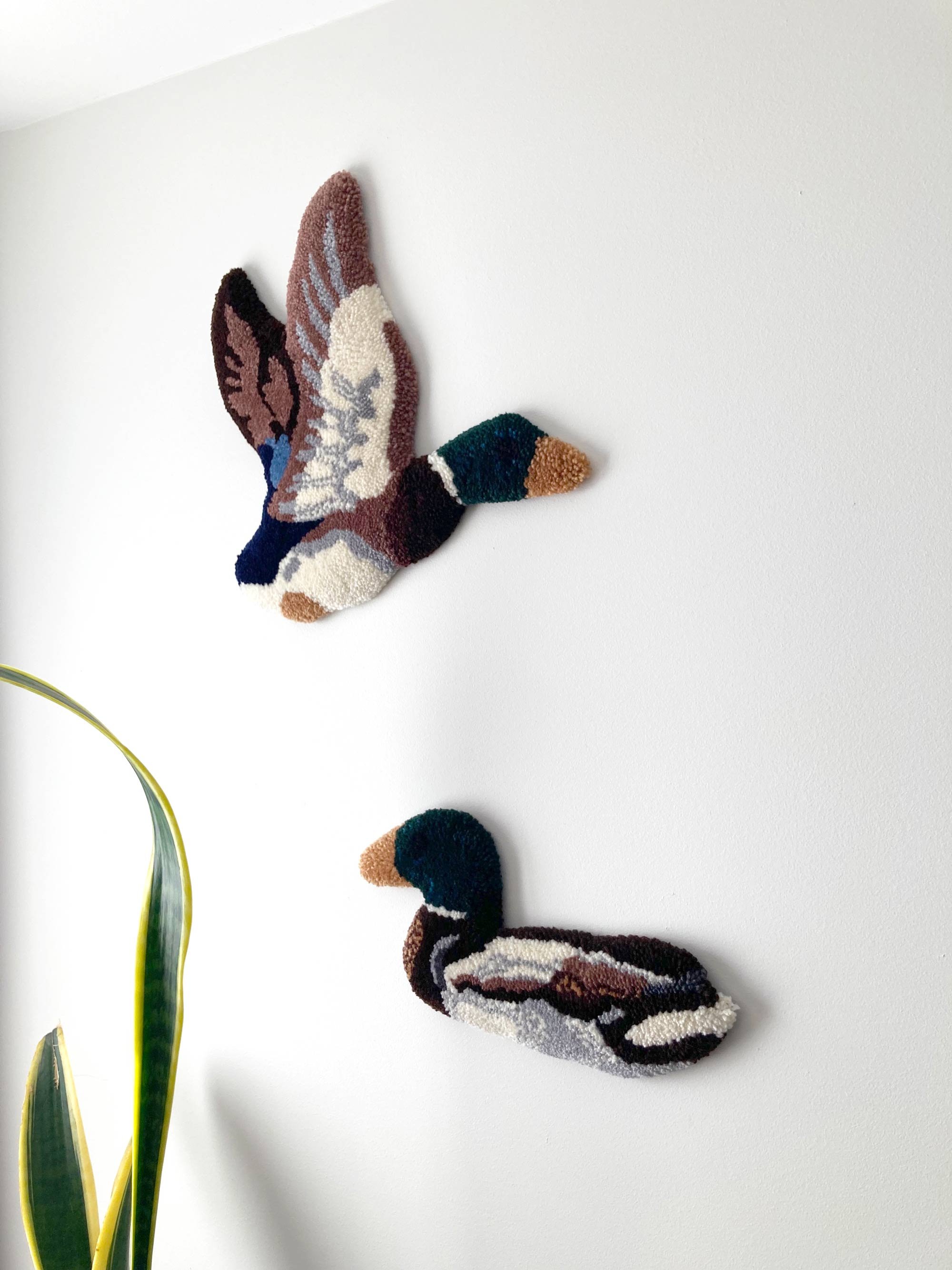 IMG_1702web.jpg (copie)