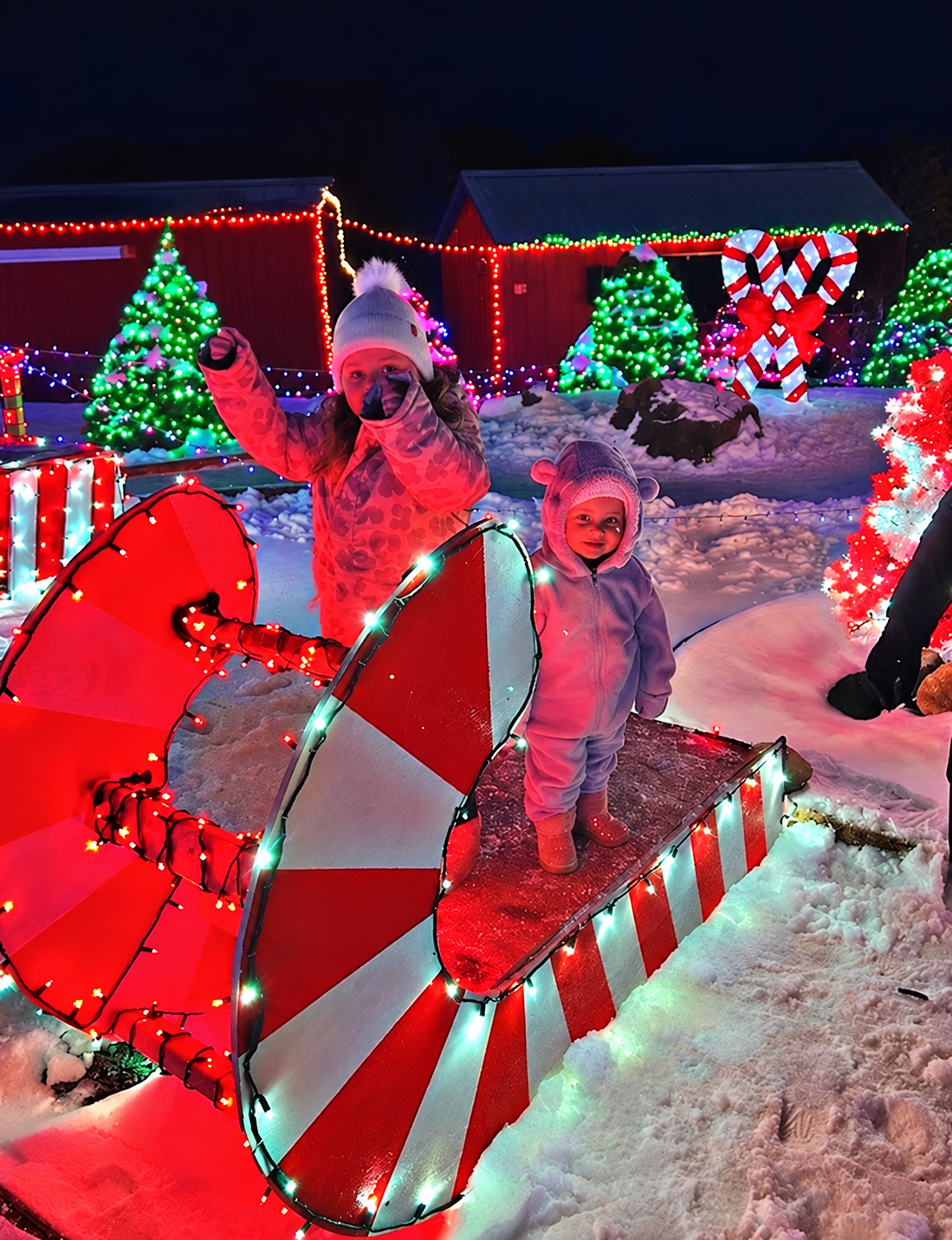 Children’s Sleigh Ride at a Winter Light Show.png