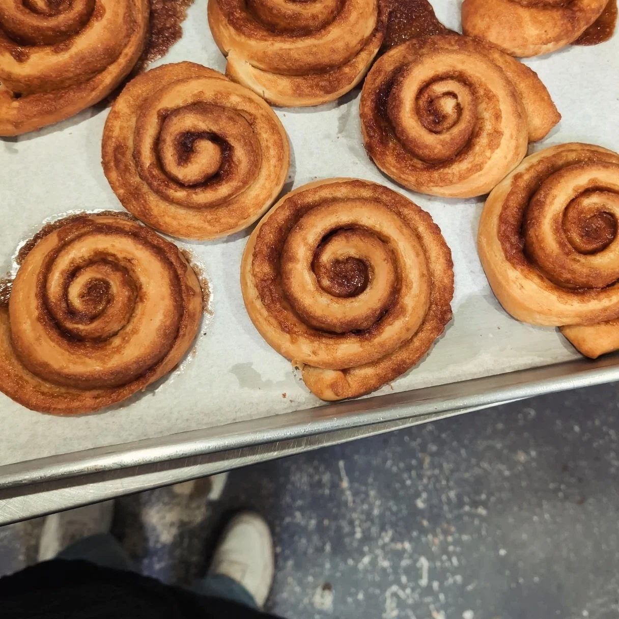 Fresh made from scratch Cinnamon Rolls are ready for cream cheese frosting. 
Made fresh by @kylieroush