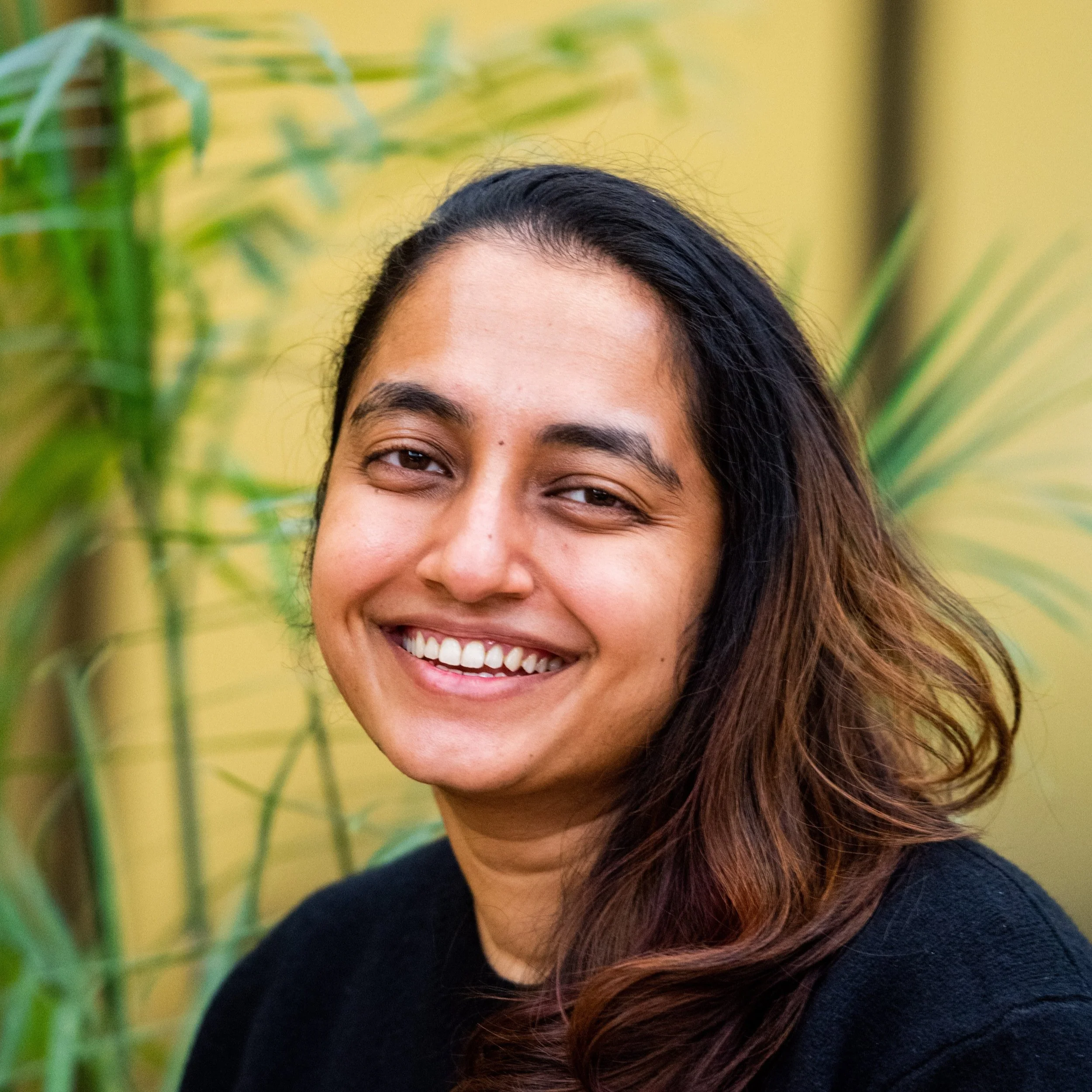 A photo of Kim Fernandes, a Brown nonbinary person with long ombre brown hair wearing a dark navy blue sweater. They stand against a pale yellow wall and plant leaves with a wide, happy smile.