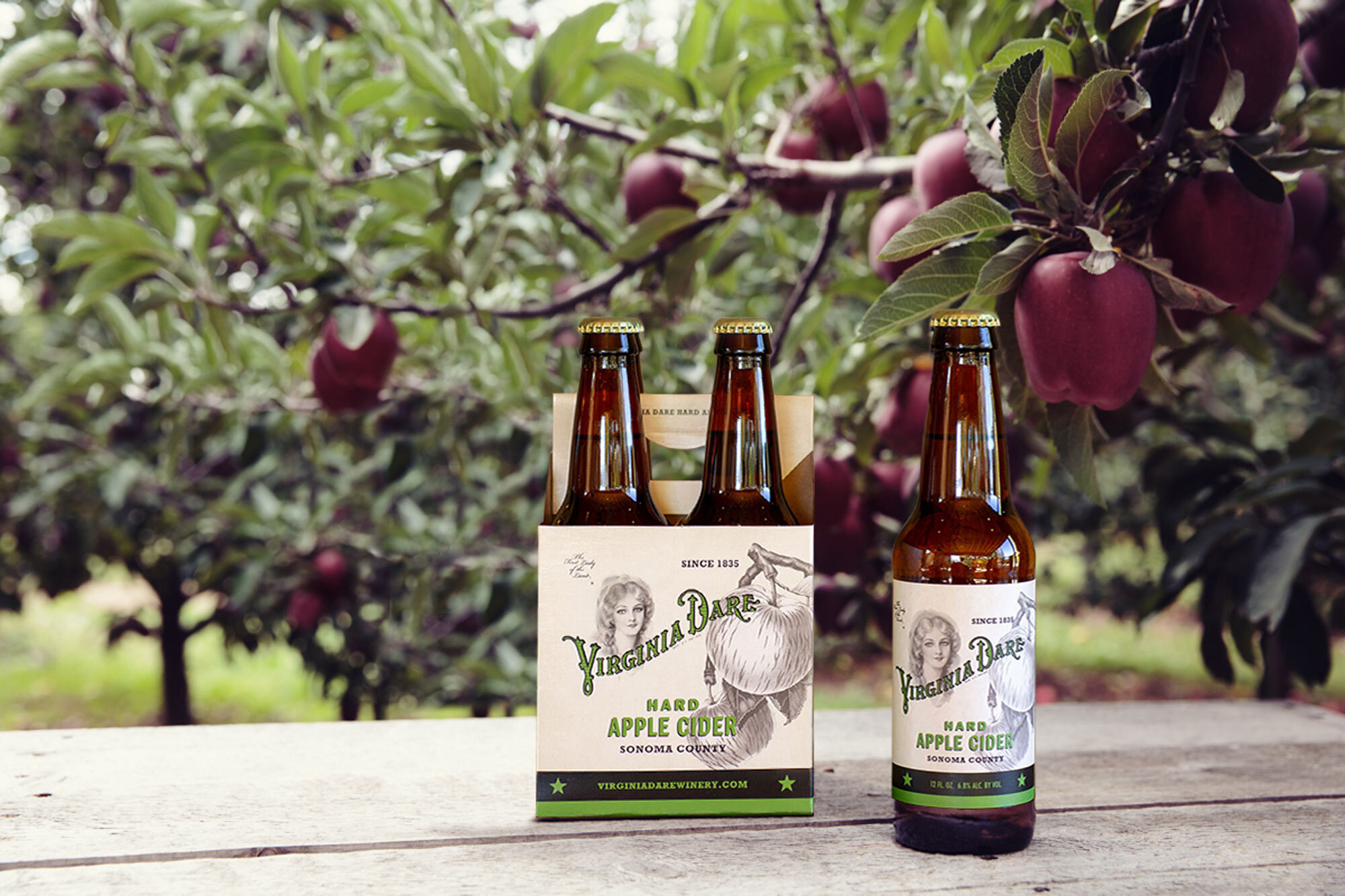 Cider_life.jpg