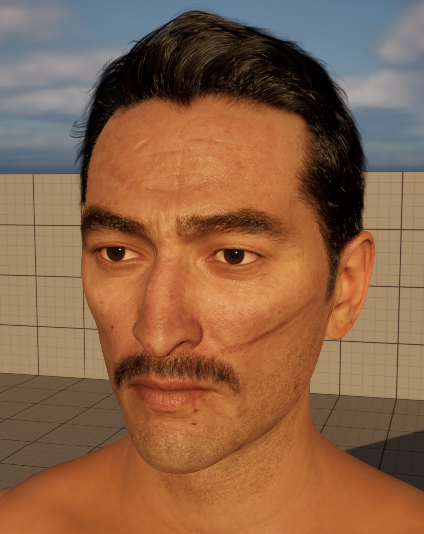 head5.png