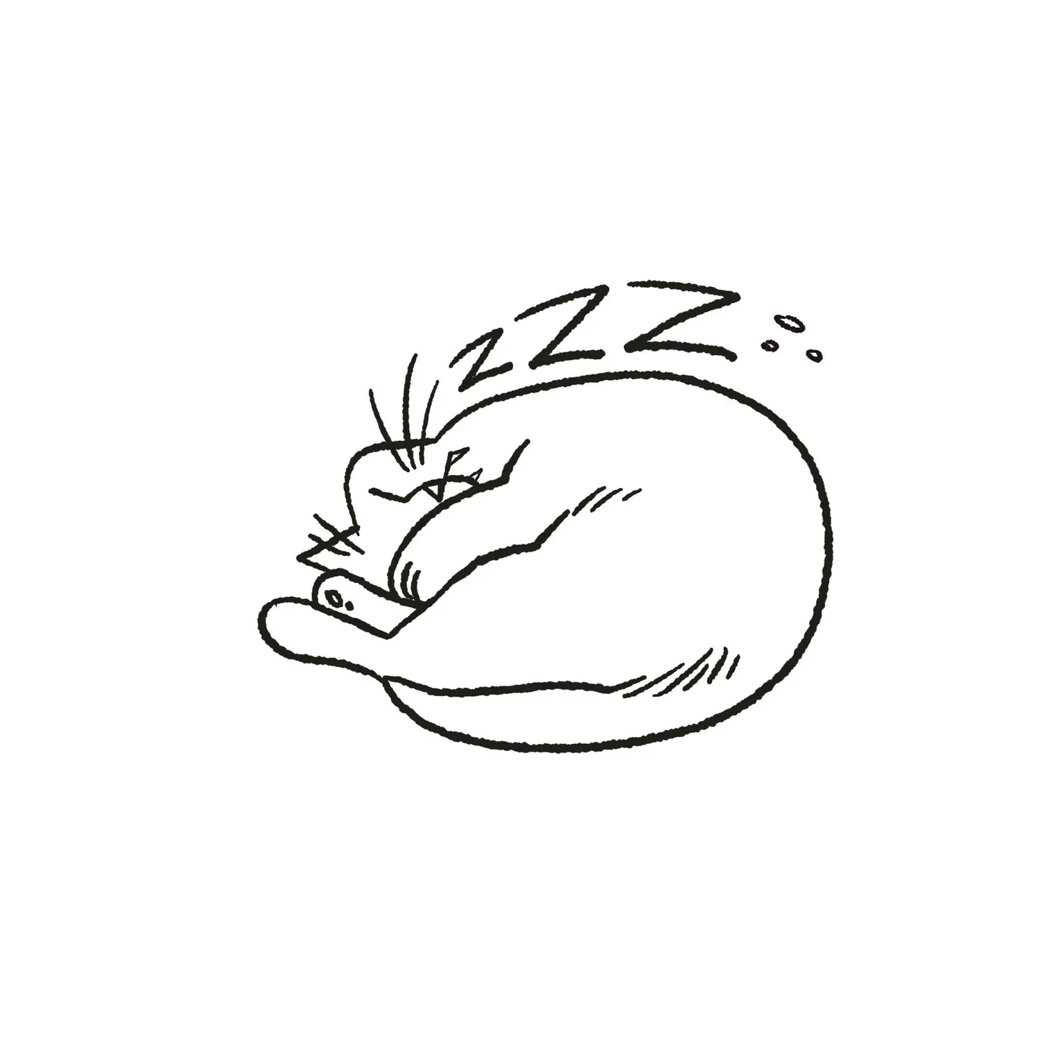 Bonk sleeps