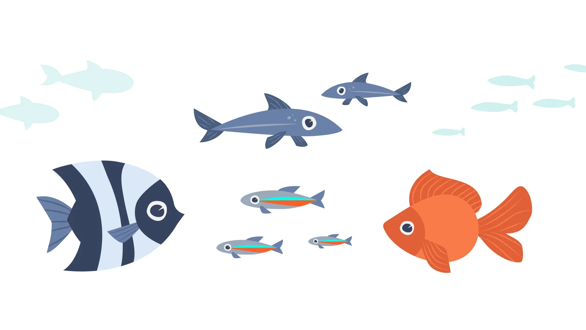 Fish2.webp