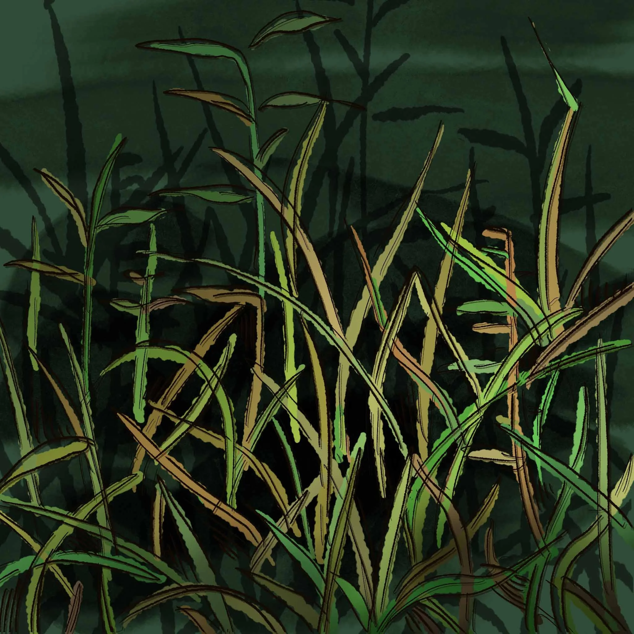 Untitled_Artwork 16.jpg