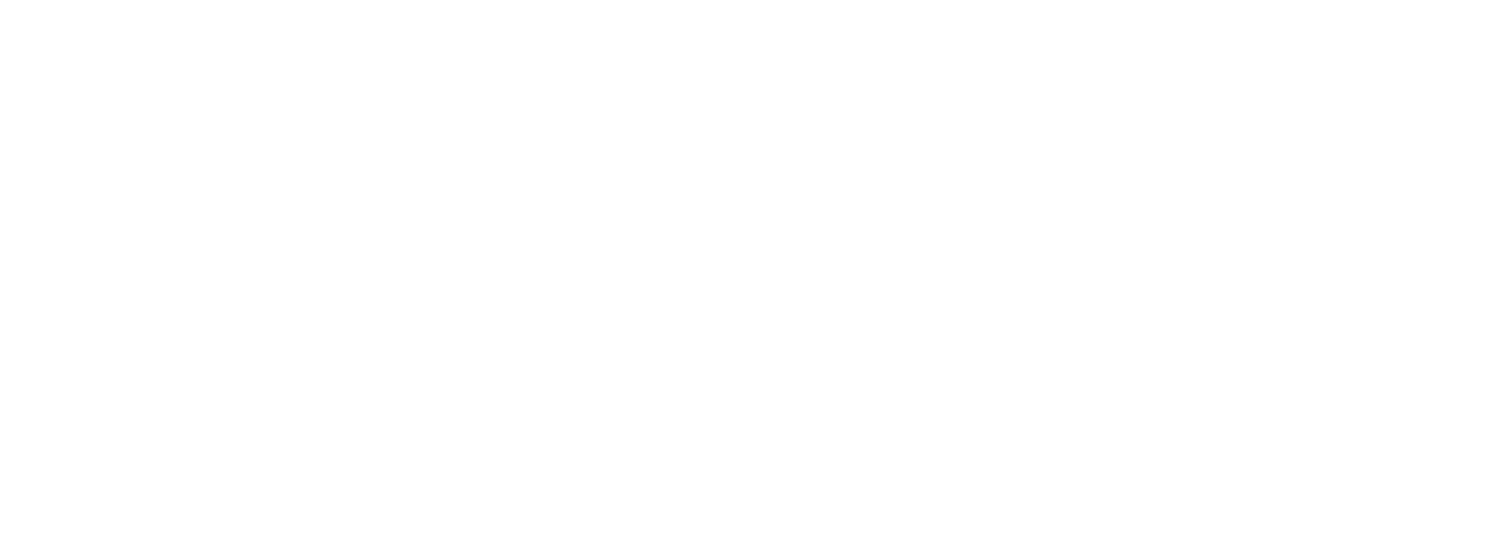 Iris &amp; Willow Photography