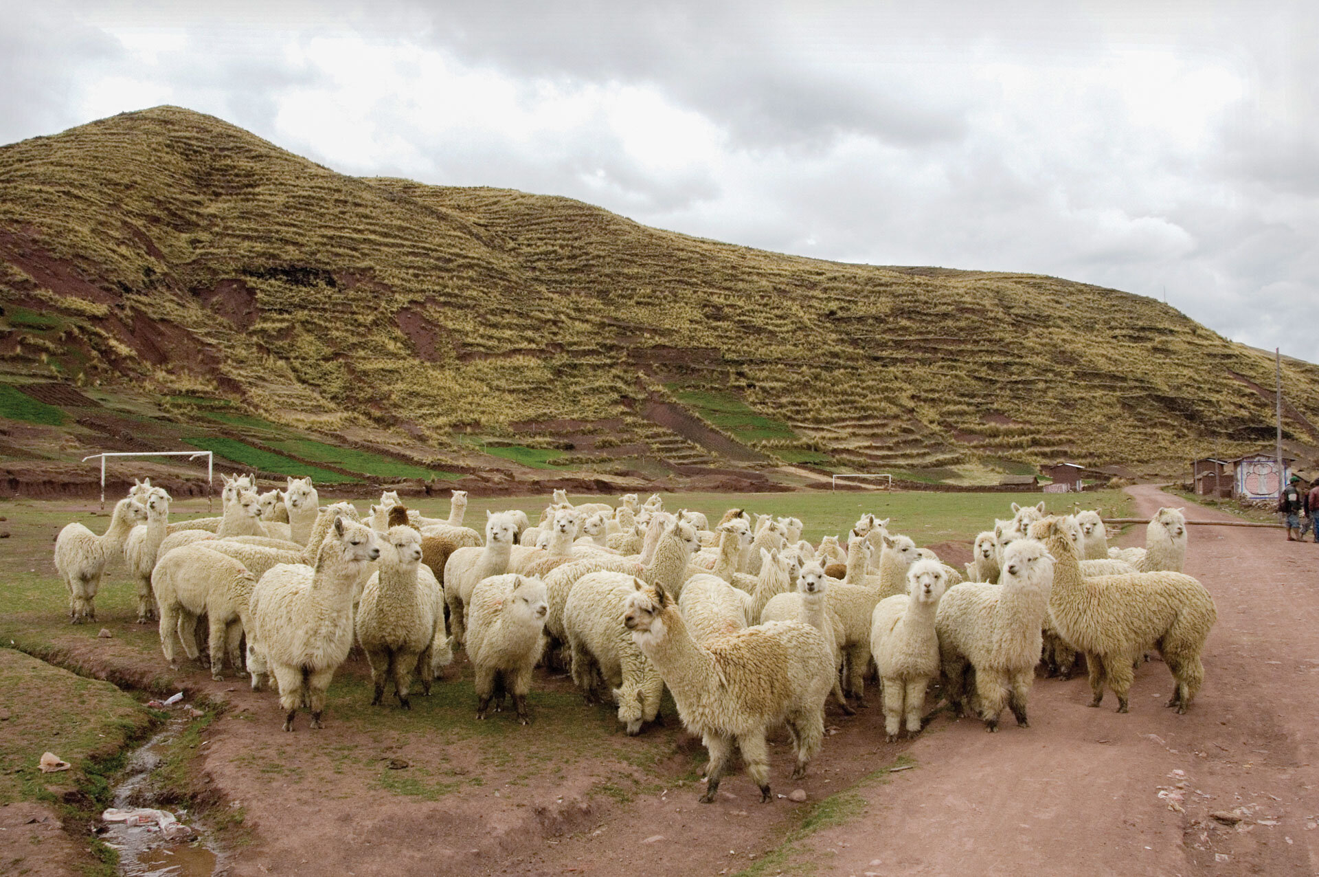Peru10-20_057.jpg