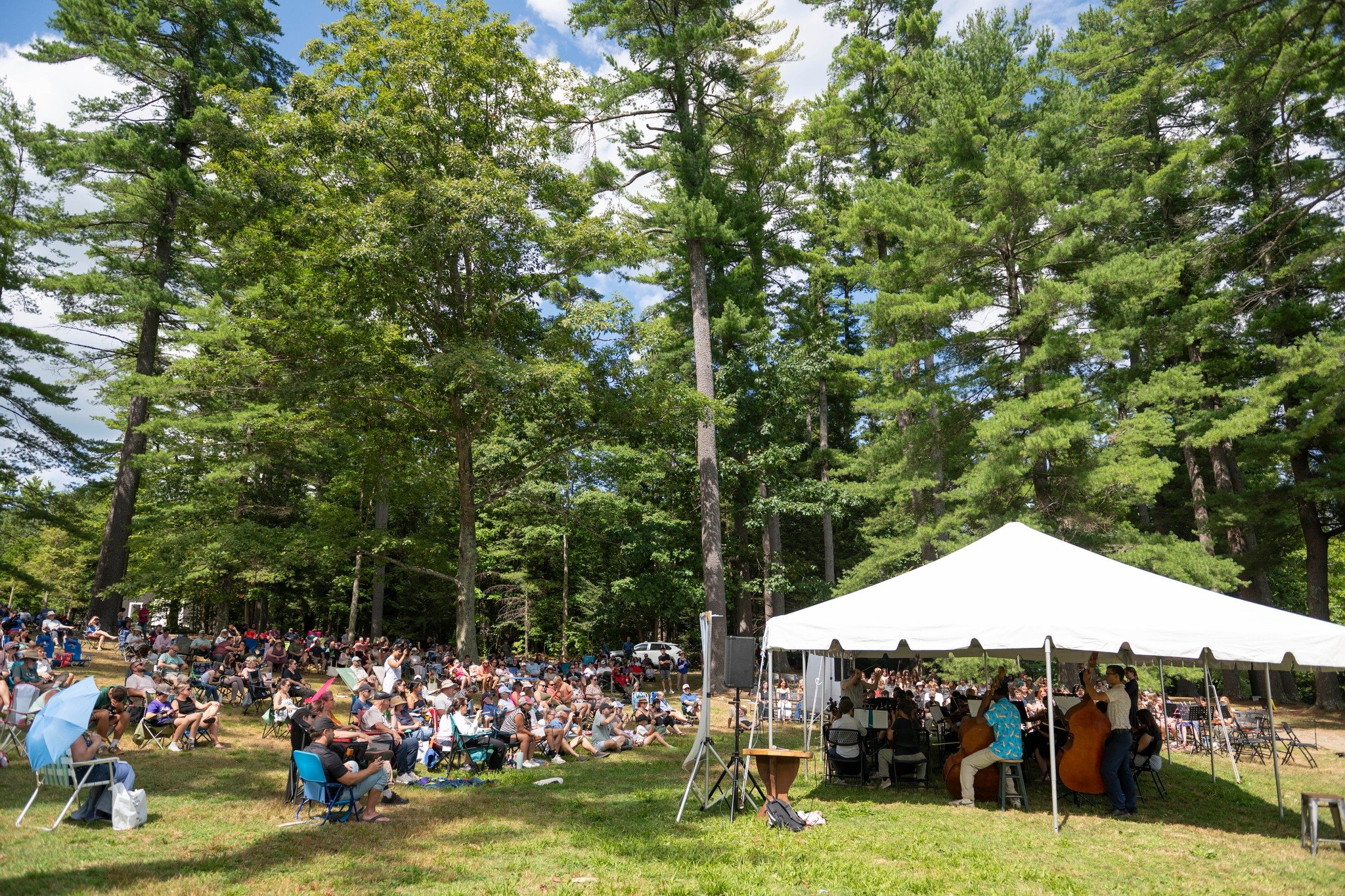 What a fantastic week with our largest group of kids, ever! The photos speak for themselves, and the memories will last forever ❤️

#camp #summercamp #musiccamp #music #orchestra #strings