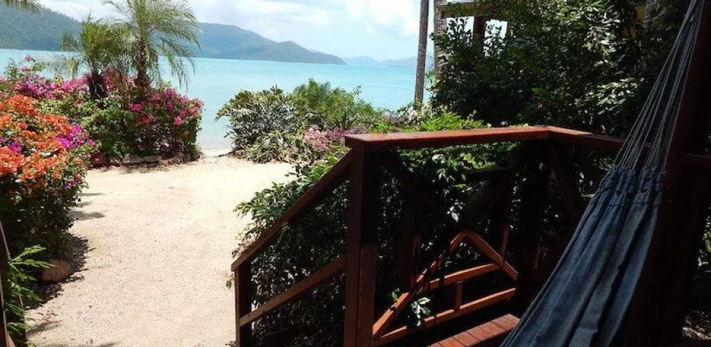 instances_1f2247dd5dfa7f8816ba6b679ce95681_5a1681f86c823.jfif