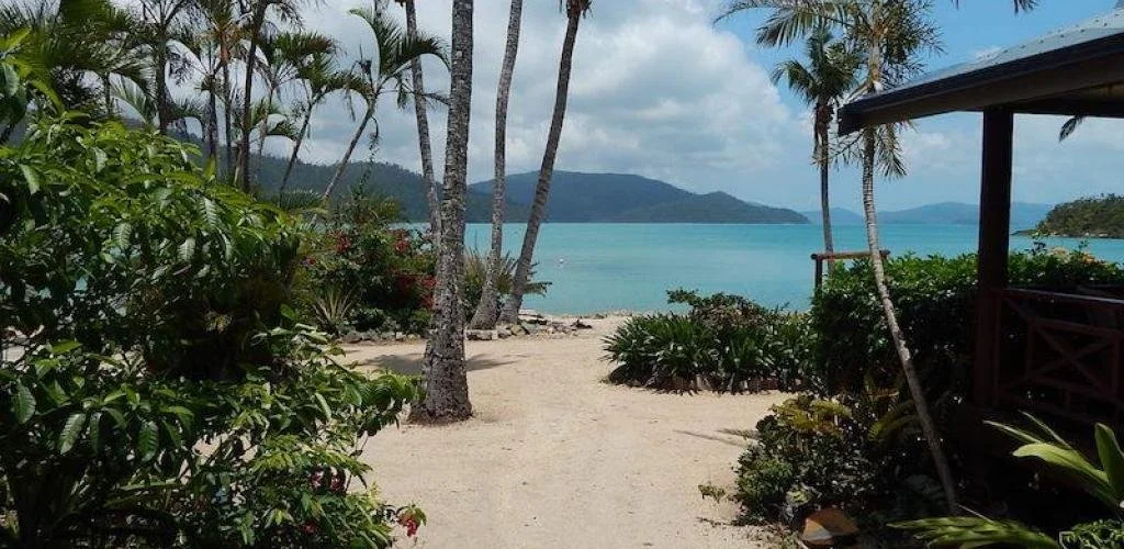 instances_1f2247dd5dfa7f8816ba6b679ce95681_5a16831de2d7f.jfif