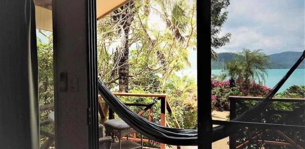 instances_1f2247dd5dfa7f8816ba6b679ce95681_5a1681f860b4f.jfif