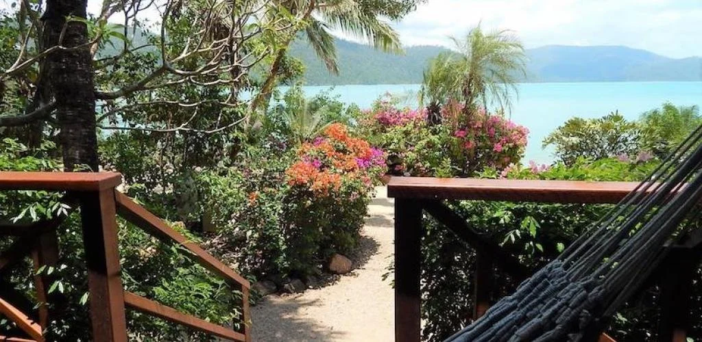 instances_1f2247dd5dfa7f8816ba6b679ce95681_5a1681f8166dc.jfif