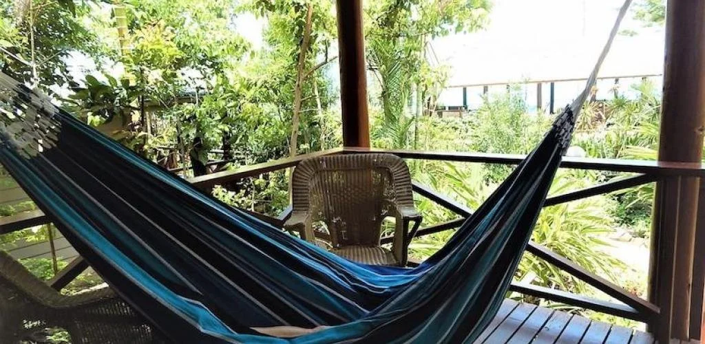 instances_1f2247dd5dfa7f8816ba6b679ce95681_5a167ff02b979.jfif