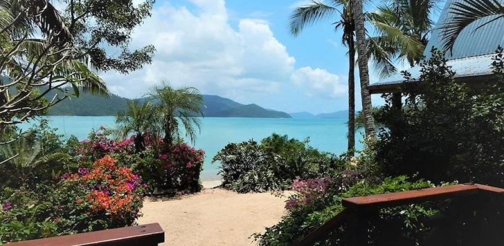 instances_1f2247dd5dfa7f8816ba6b679ce95681_5a1681f7dde8b.jfif