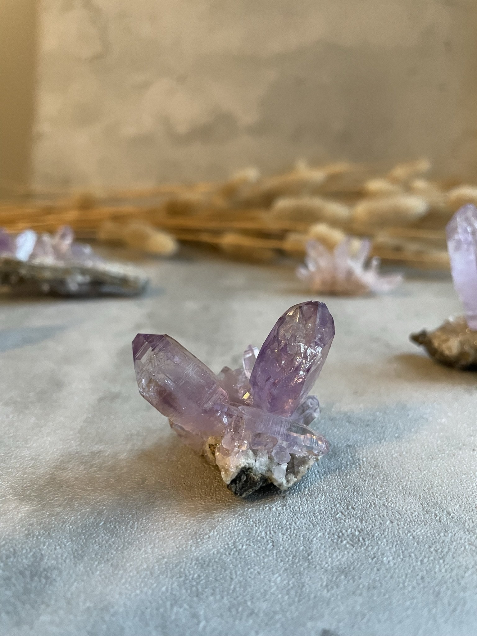 Vera Cruz Amethyst