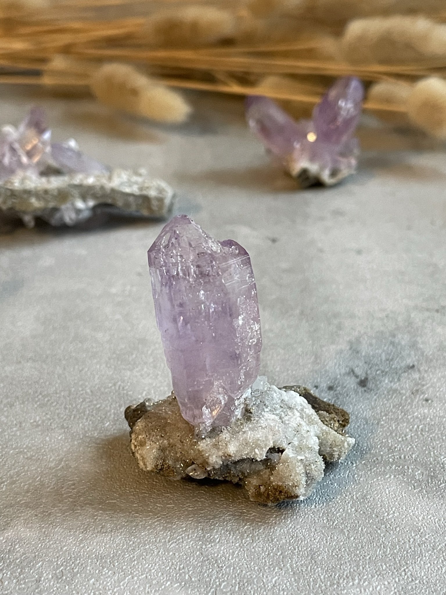 Vera Cruz Amethyst