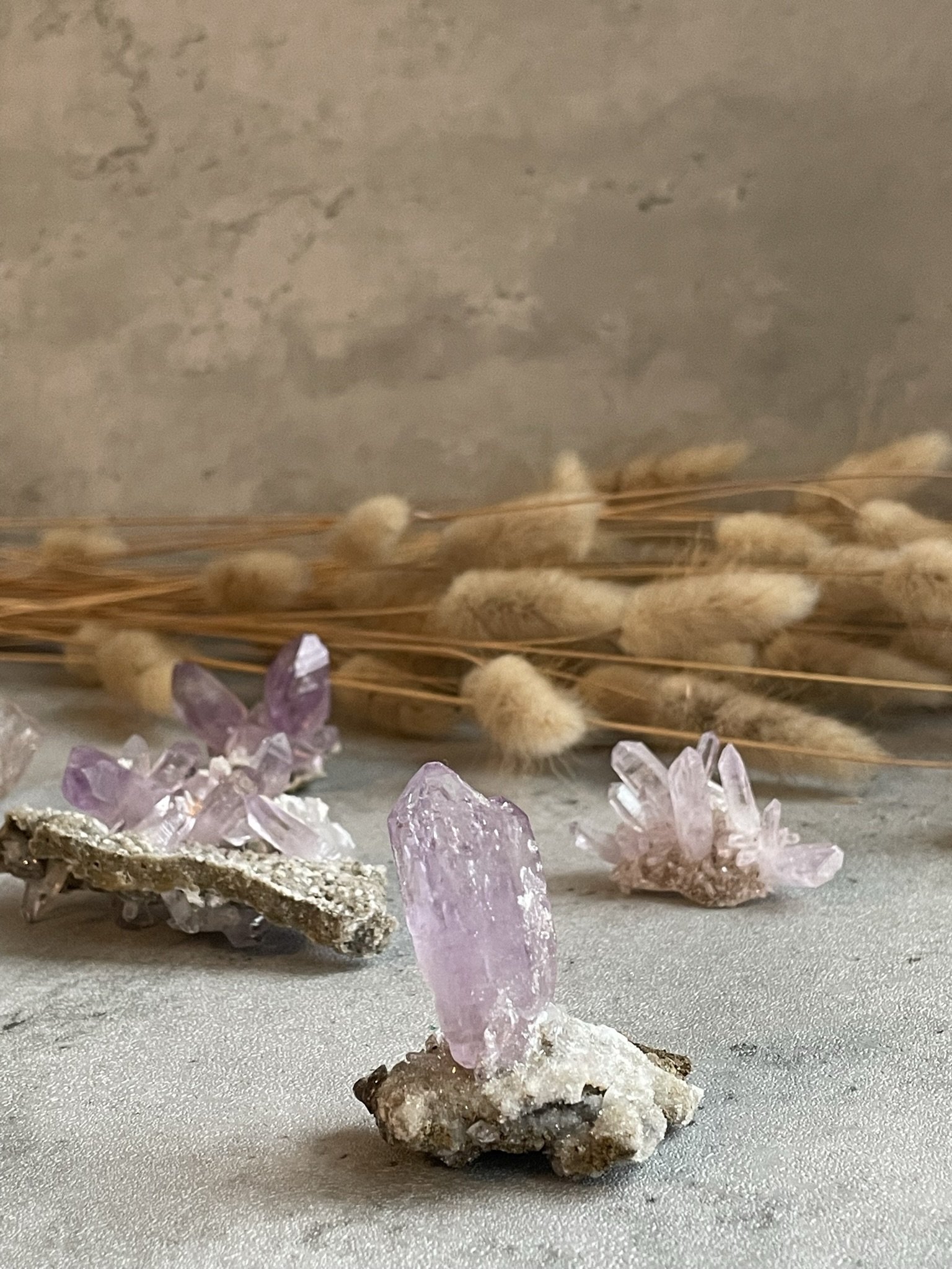 Vera Cruz Amethyst