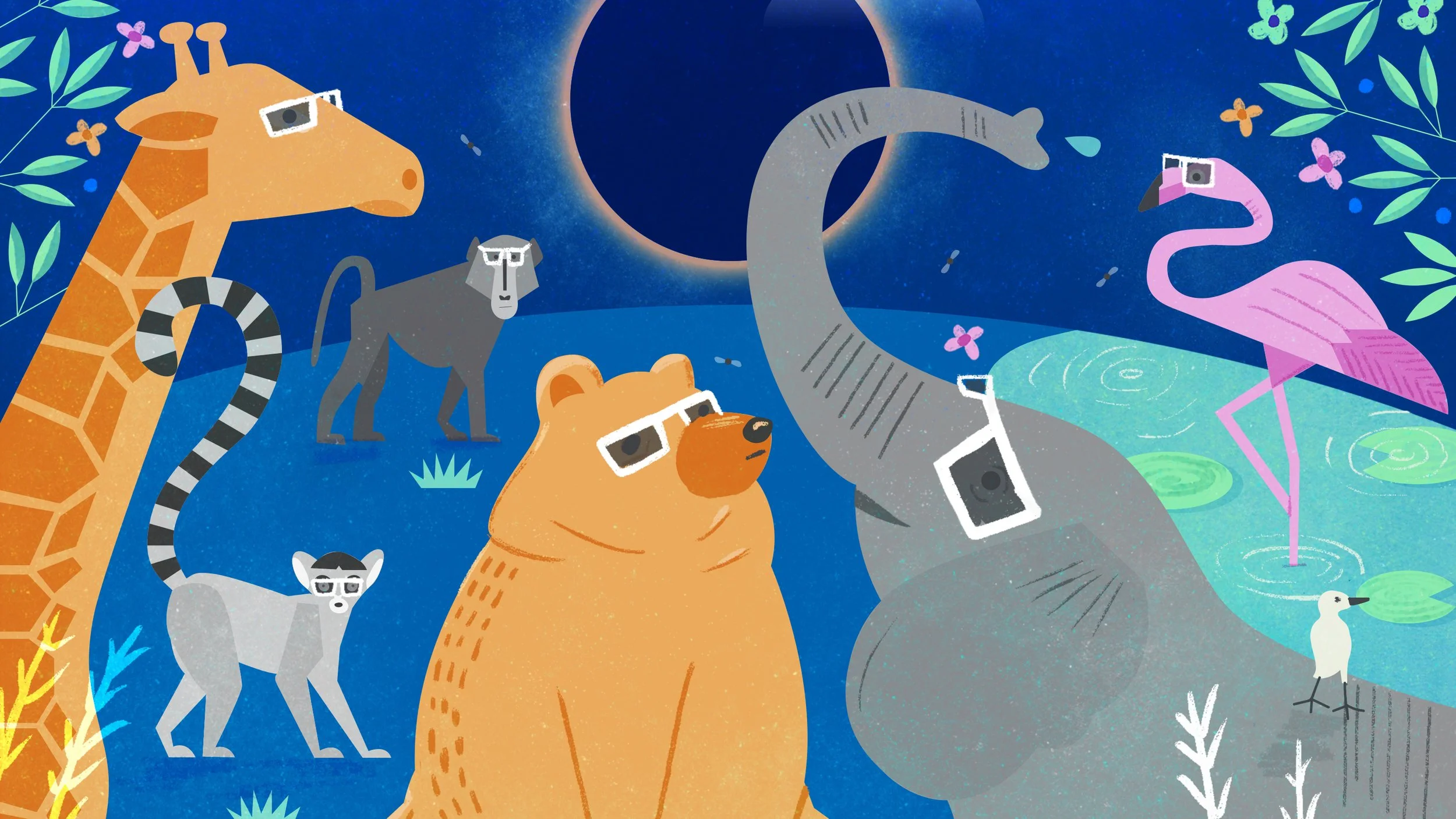 CNN- What Happens to animals during an eclipse?