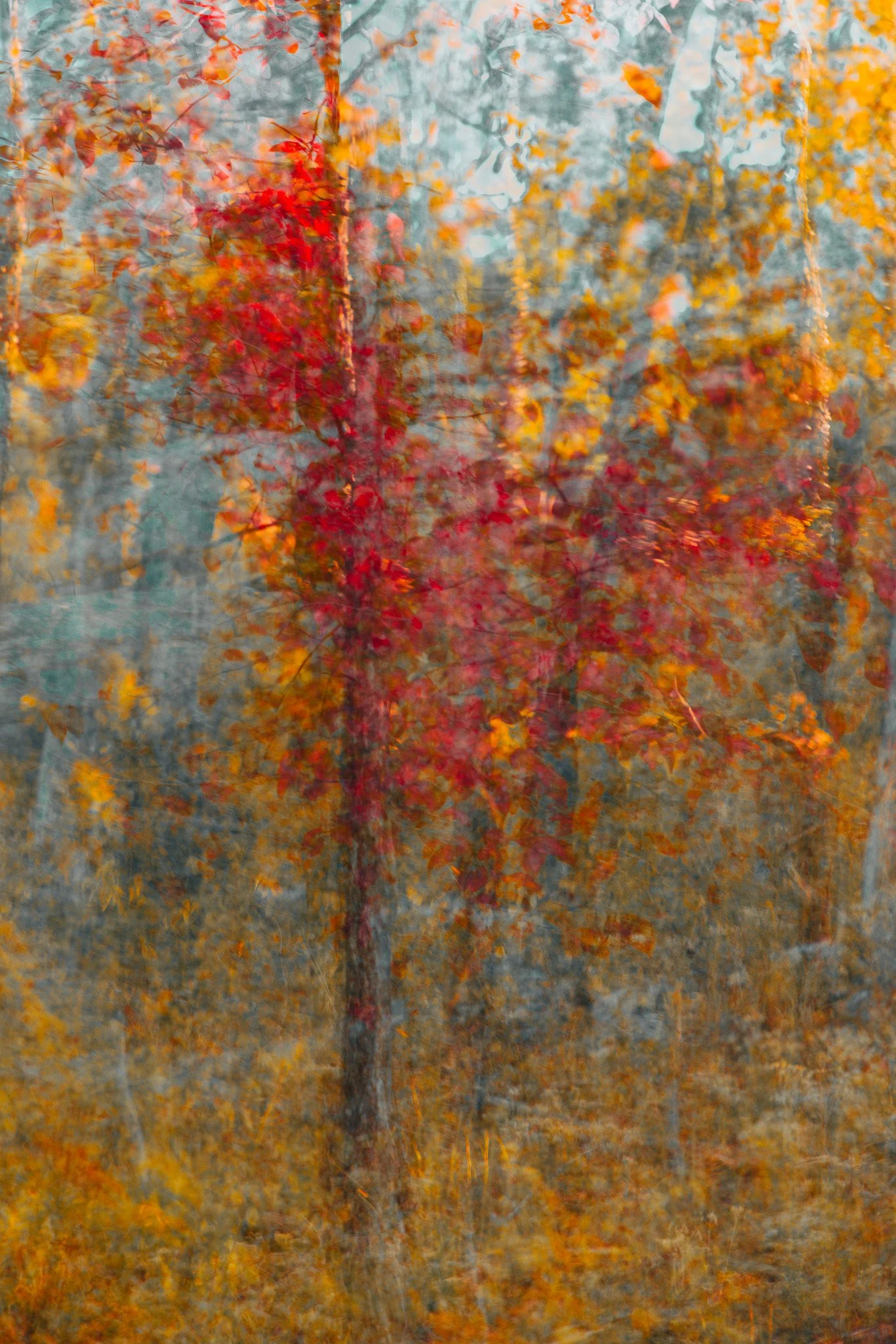 Appalachian Highlands