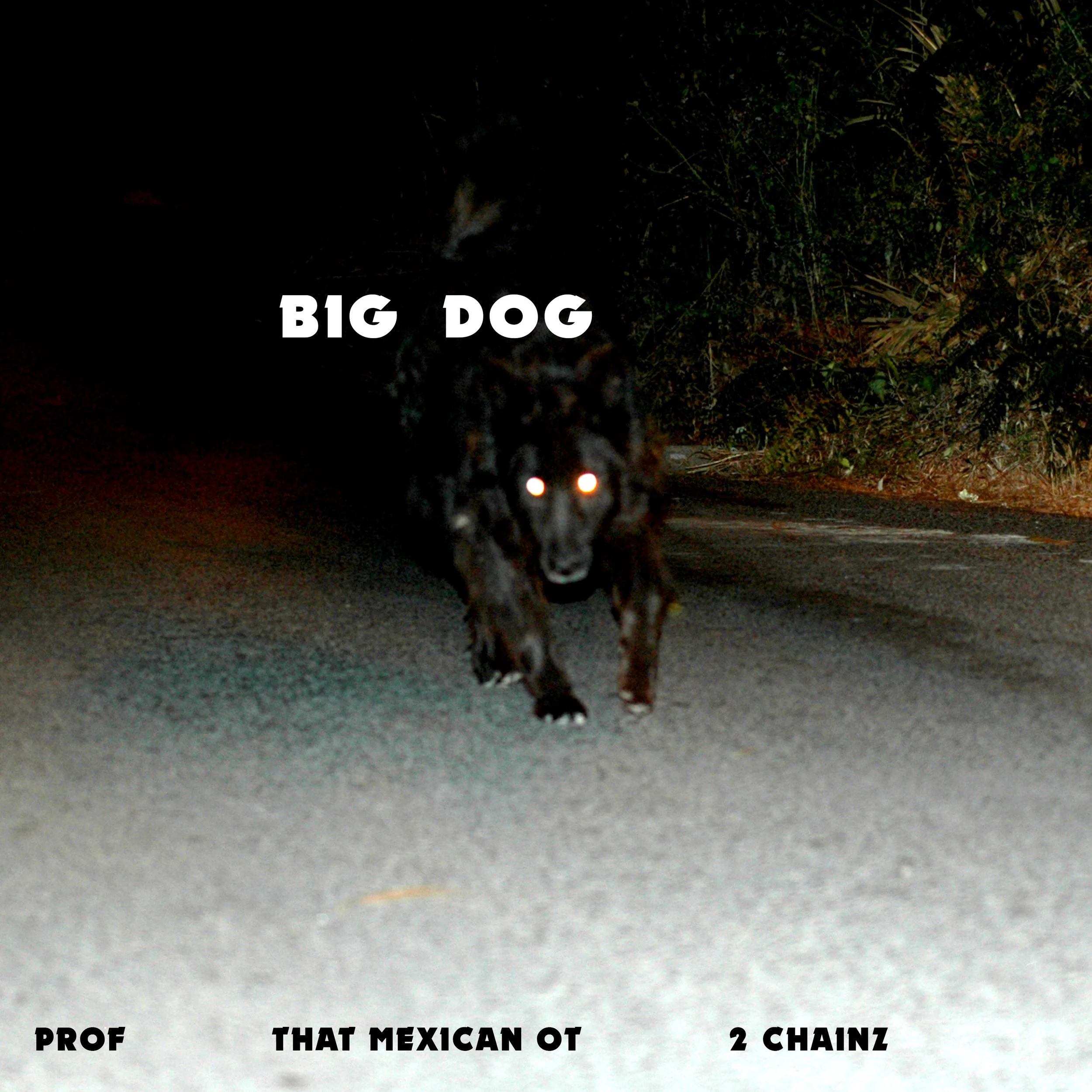 PROF - Big Dog (Single Artwork).jpg