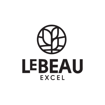 Lebeau-Excel-Logo.png