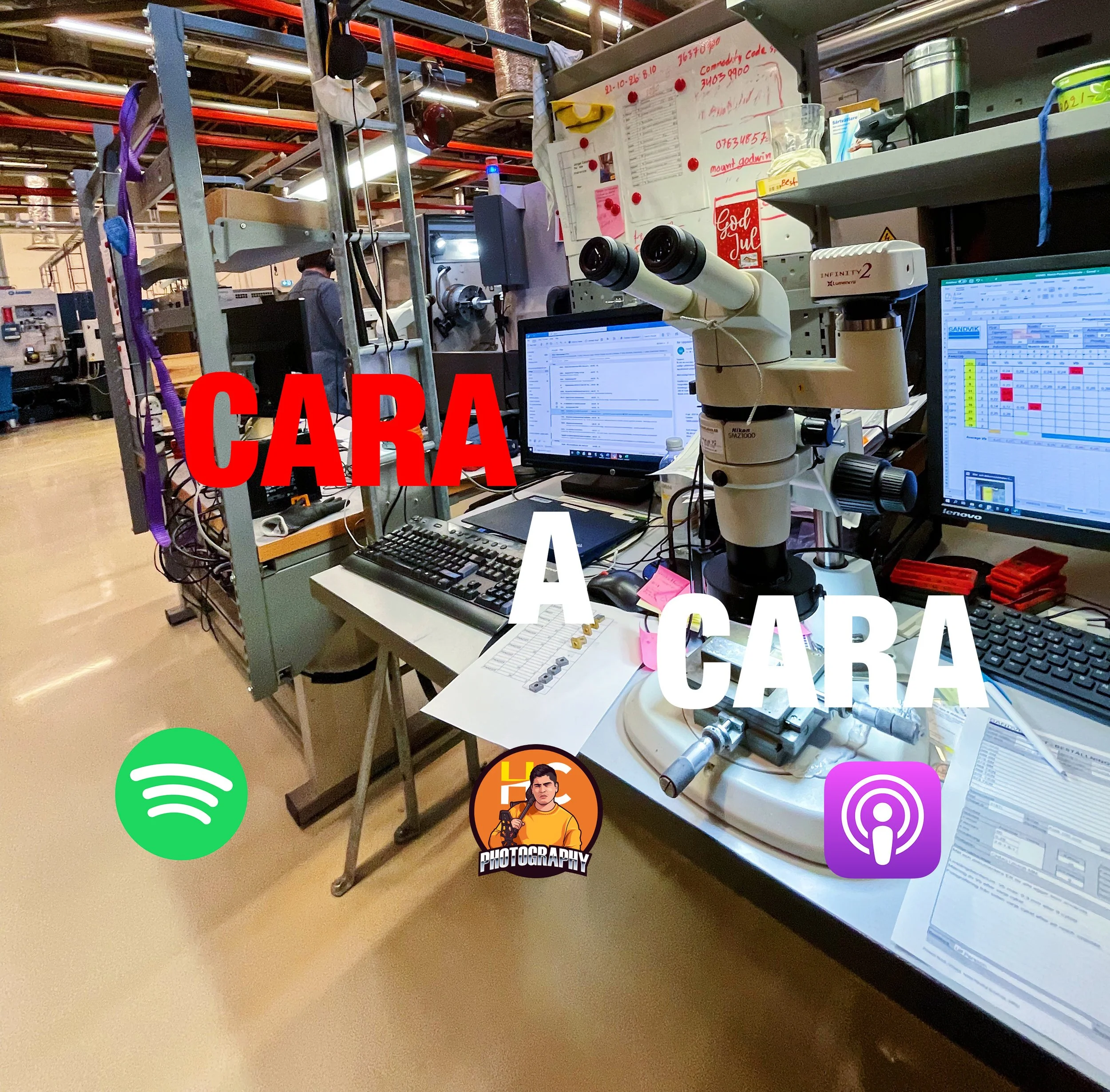 29.-Una nueva oportunidad