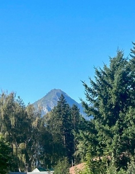 203 Orchard St, Leavenworth, WA 98826 4.jpeg