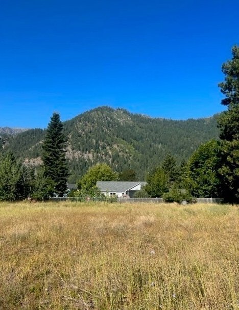 203 Orchard St, Leavenworth, WA 98826 2.jpeg