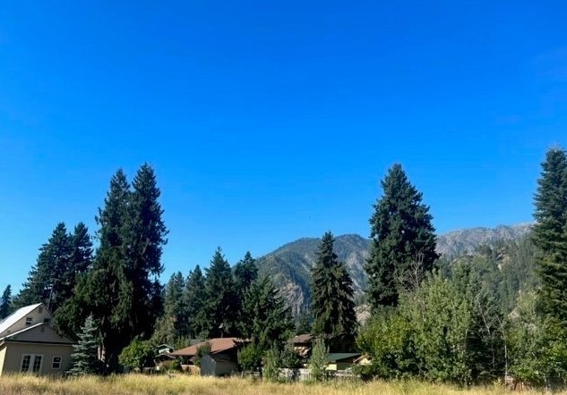 203 Orchard St, Leavenworth, WA 98826 3.jpeg