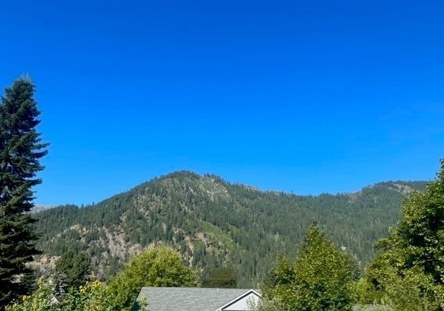 203 Orchard St, Leavenworth, WA 98826 6.jpeg