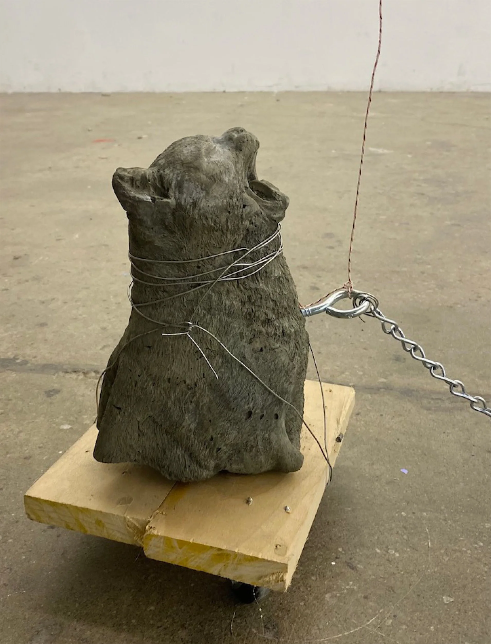 Paula-De-Martino---I-Am-With-Cat9.jpg