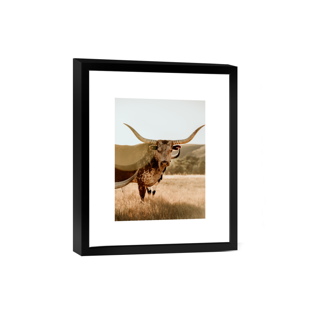 smartframe_rectangle3_4_0_333_3887_5182_0_false_ffffff_0_0.png