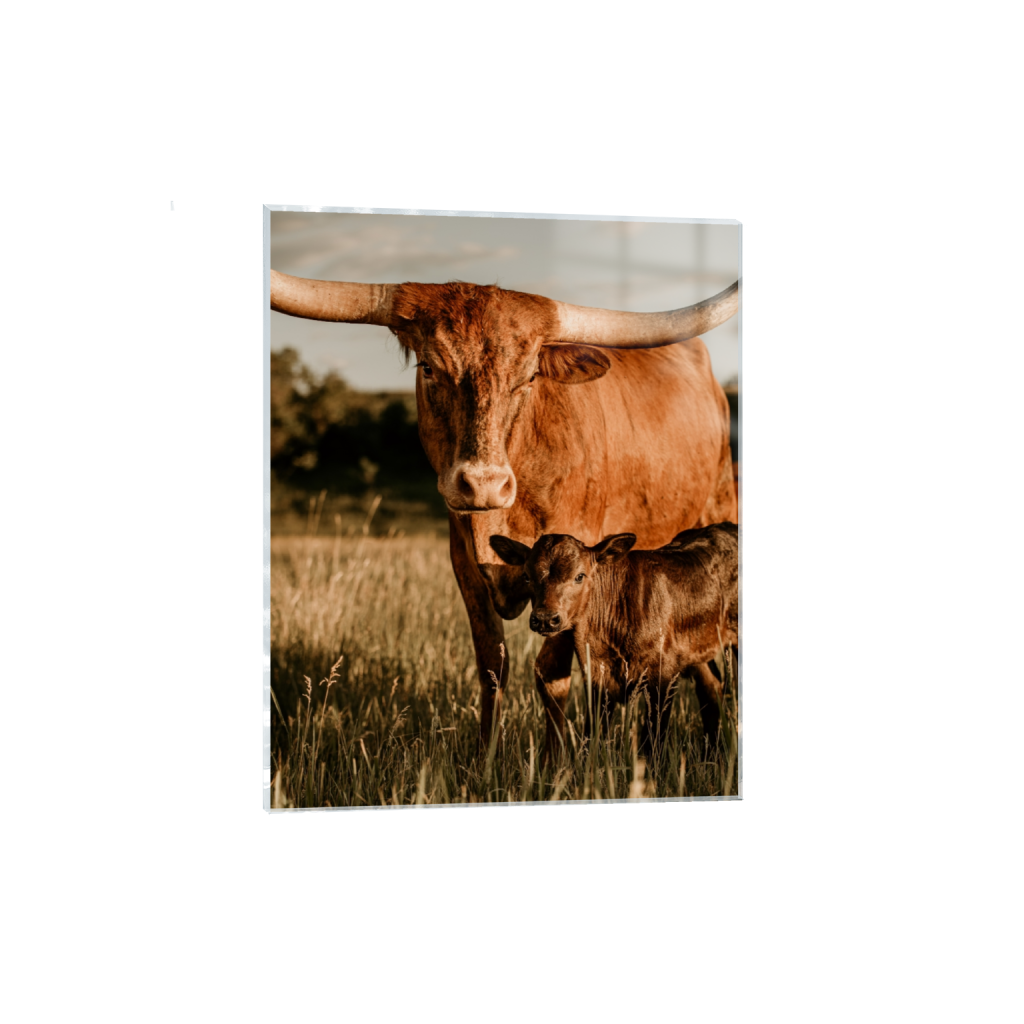 acrylicprint_rectangle4_5_0_492_3652_4565_0_false_ffffff_0_0.png