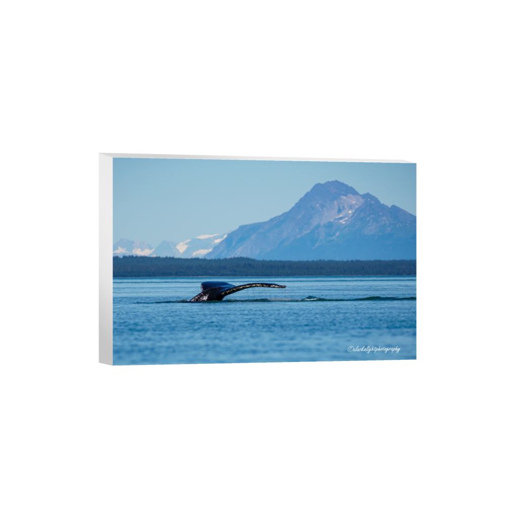 canvas_rectangle2_3_0_0_4885_3257_0_false_ffffff_0_0.png