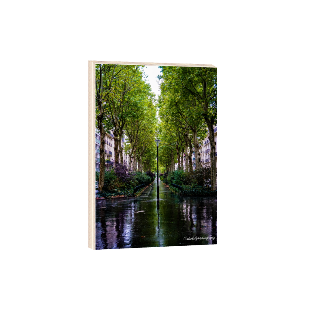 woodprint_rectangle2_3_0_0_3870_5806_0_false_ffffff_0_0.png