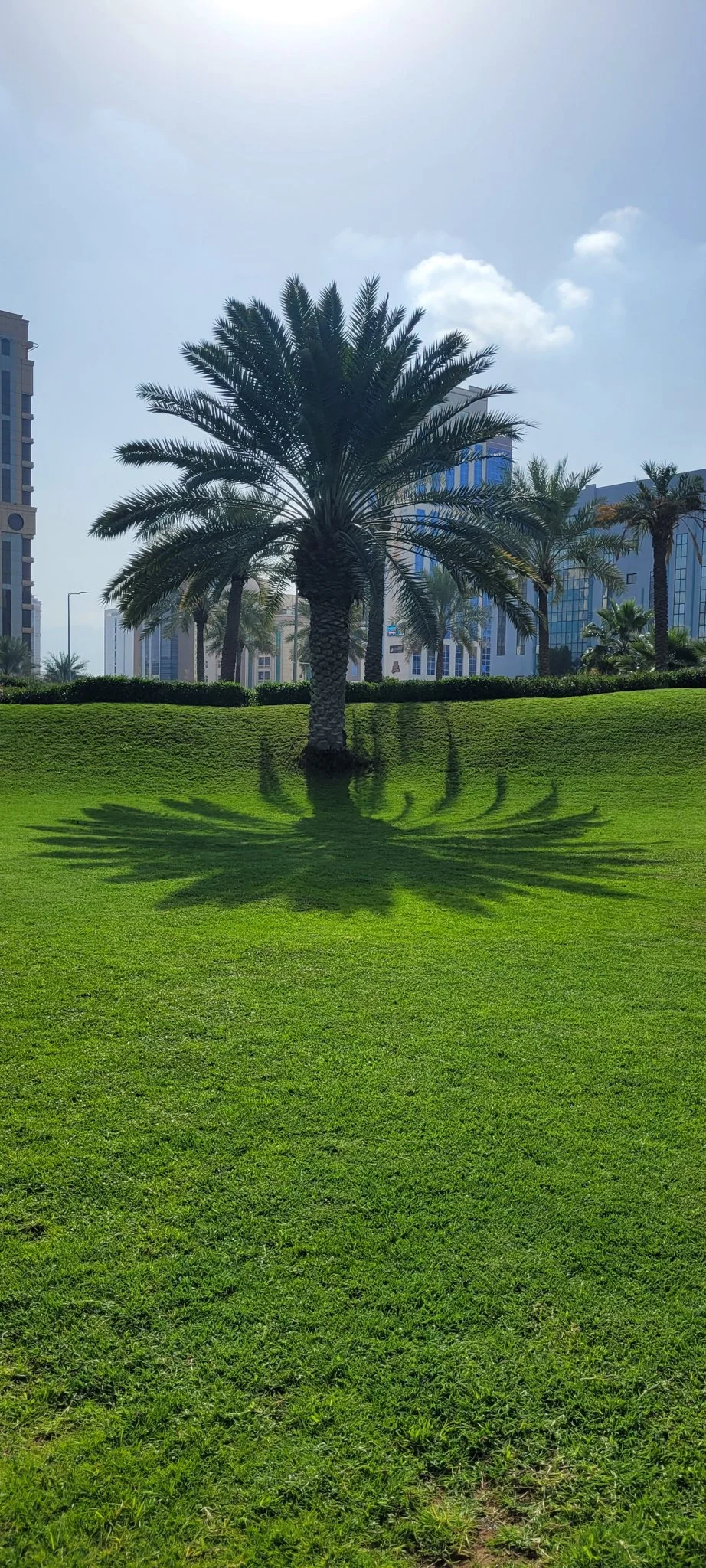 From Ocean to Office