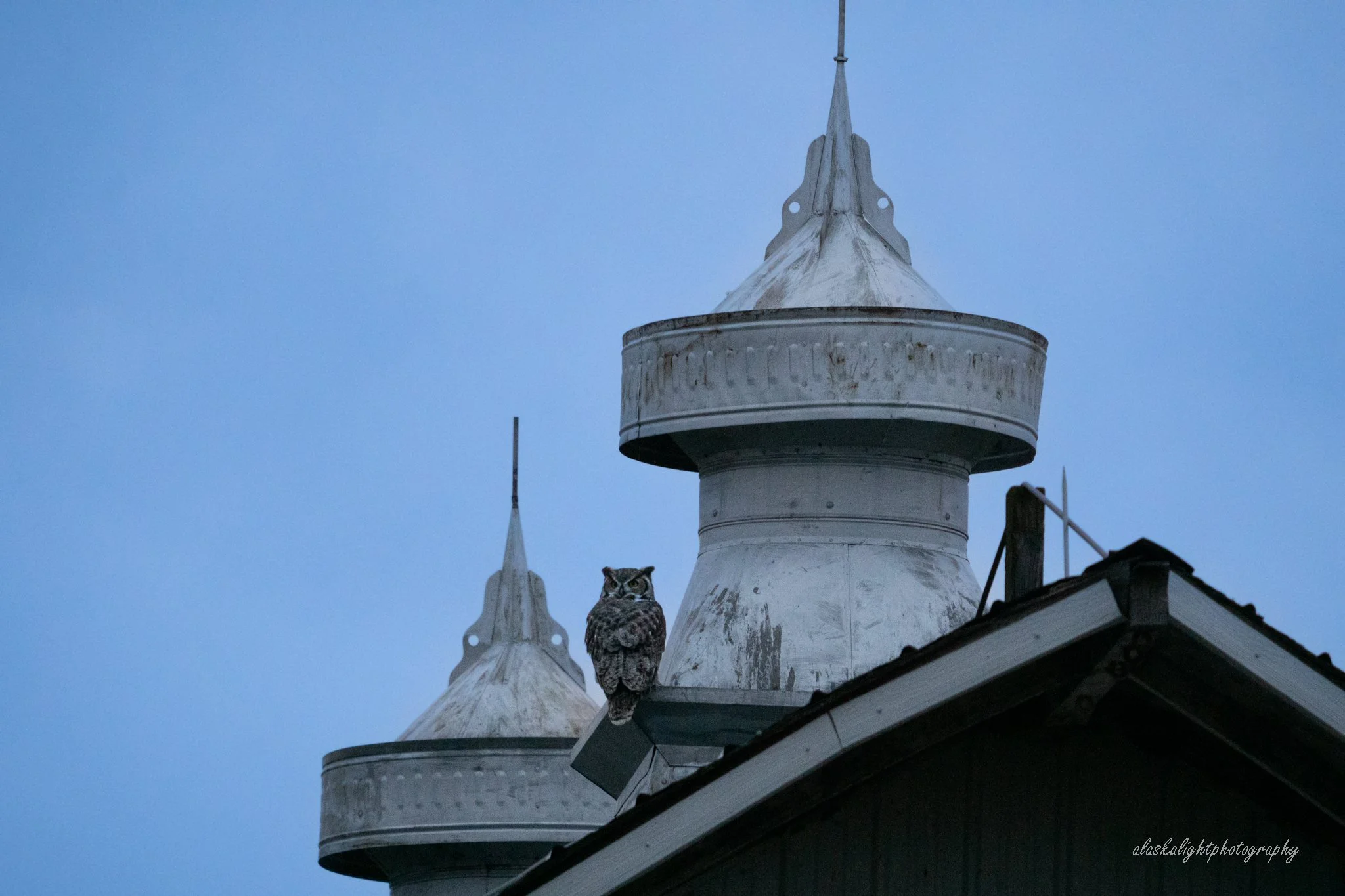 DSC02098.jpg