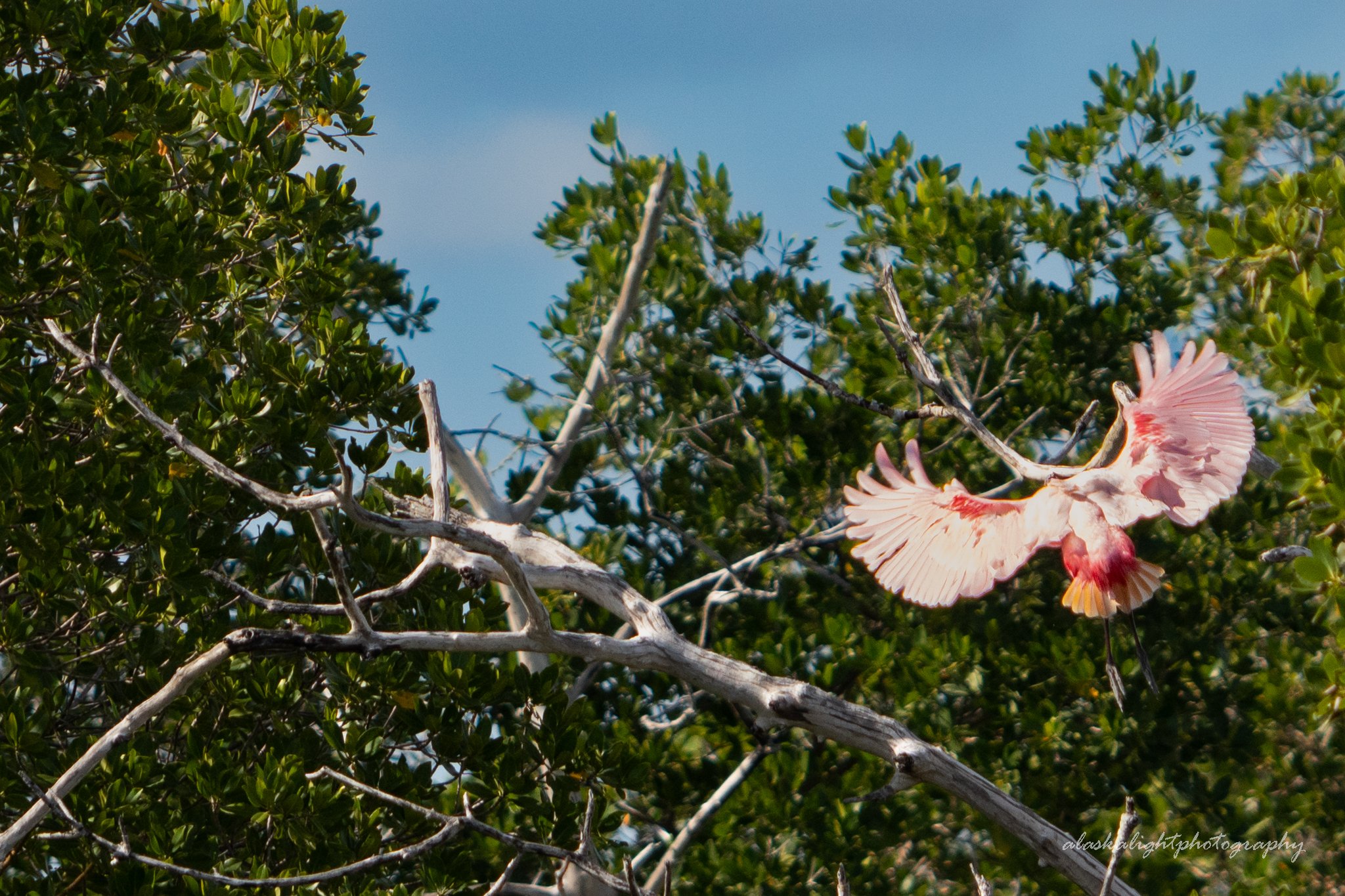 DSC01557-2.jpg
