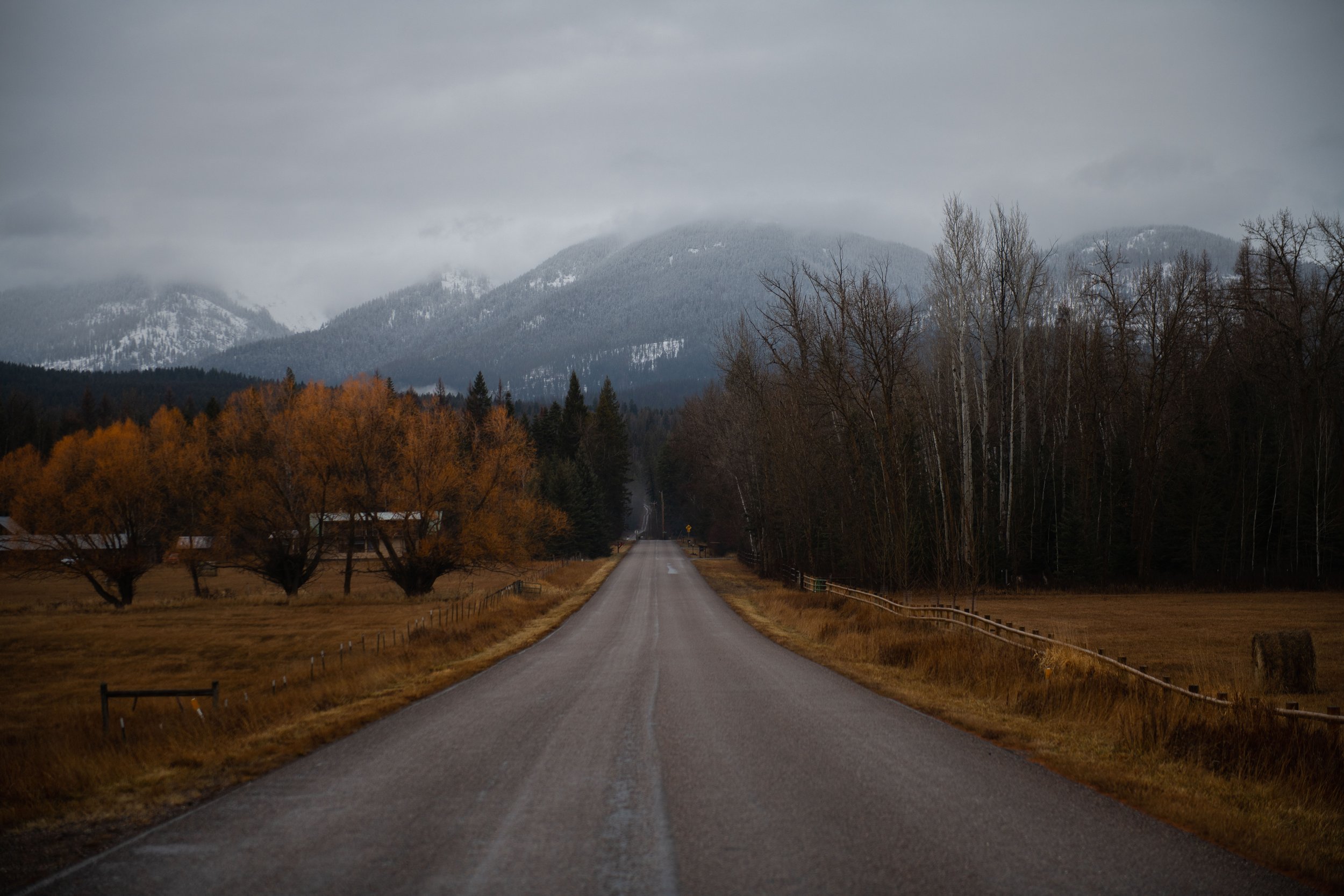 A straight road leading into a rural area with trees on both sides, mountains in the background, overcast sky.